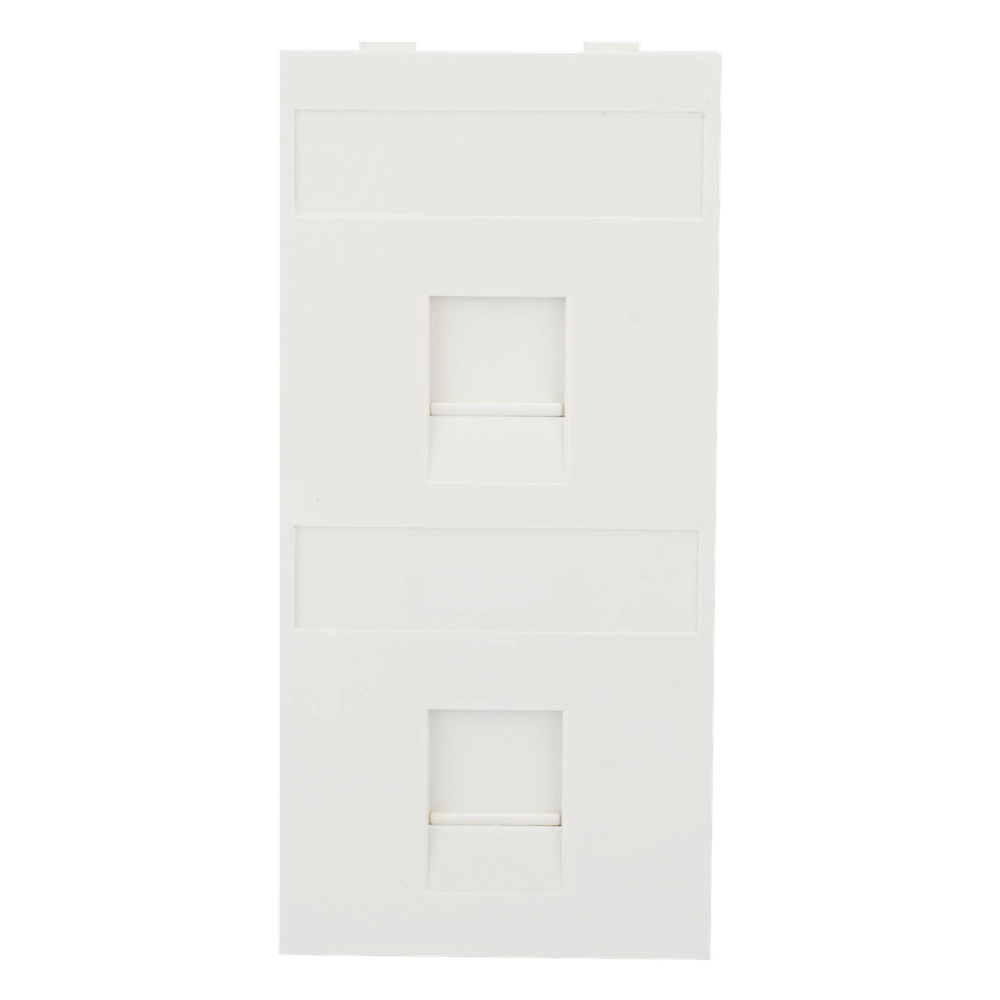 Placa Plana de Voz y Datos con Guardapolvo para 2 SIMON SM-FP-2-KEY